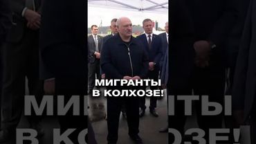 Узбеков устроили в белорусский колхоз! Что изменилось в хозяйстве? #shorts