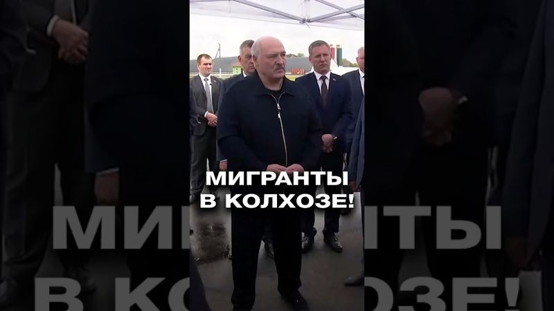 Узбеков устроили в белорусский колхоз! Что изменилось в хозяйстве? #shorts
