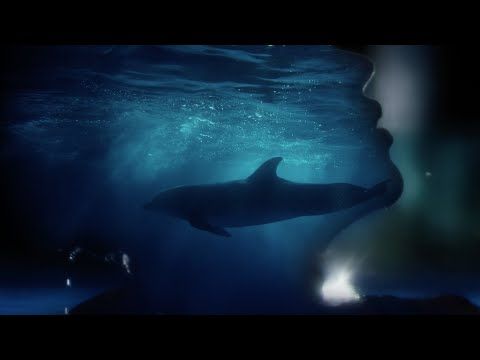 IOWA - Одно и то же (Ivan Spell Remix)