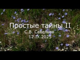 С.В. Савельев - Простые тайны II