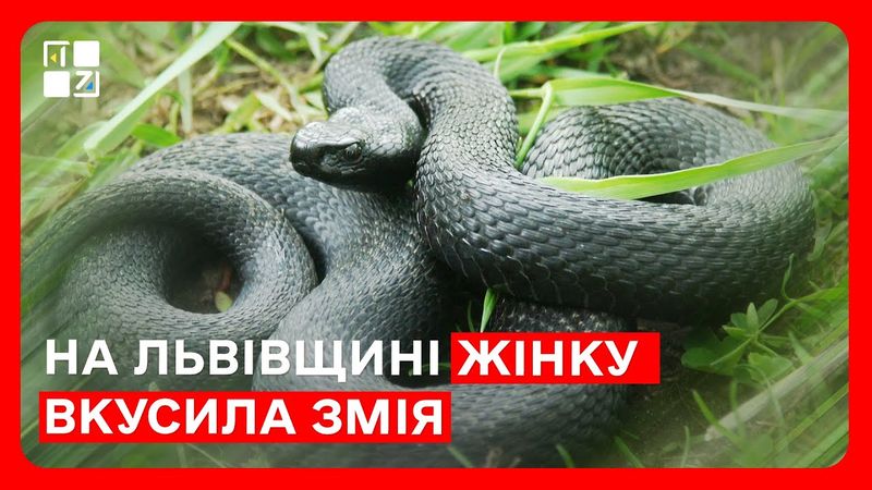 На Львівщині жінку вкусила змія