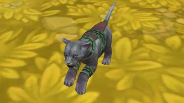 Выживание львенка в Саванне WildCraft