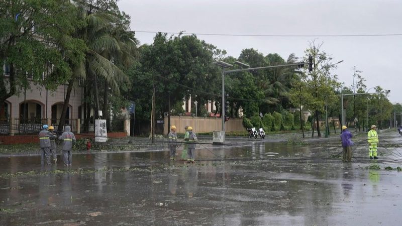Downed power lines, fallen trees in aftermath of Typhoon Kajiki in Vietnam | AFP