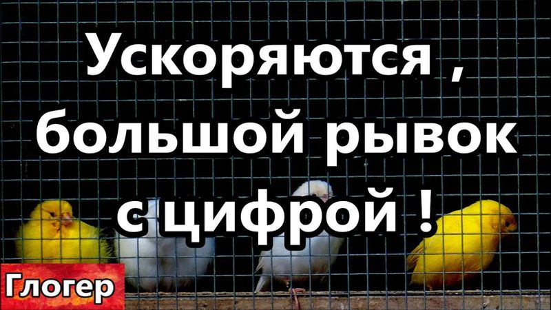 Большой рывок с цифрой , ускоряются ! Напомню вам кто такой ТРАМП в 2021г  ! Запреты на живность !