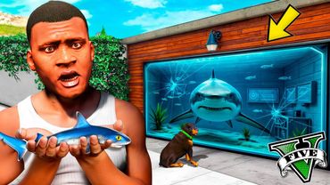 ФРАНКЛИН ҮЙІНДЕ АКУЛА АСЫРАДЫ (GTA V)