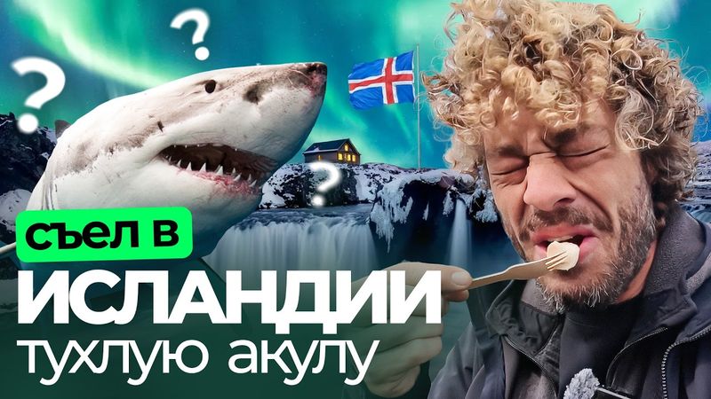Минусы Исландии: еда невкусная и всё дорого, но люди счастливы | тухлая акула, высокие цены