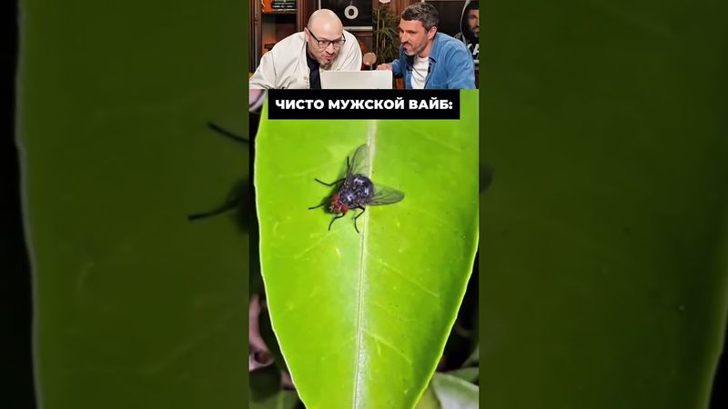 №113 ЗАСМЕЯЛСЯ - ПОДПИСАЛСЯ! 🤣 😅 🤦🏻‍♂️