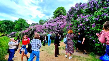 Киевский ботанический сад. Сиреневый рай. Это что-то невероятное!!! Ионинский монастырь. 6.05.2025