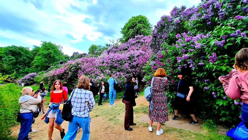 Киевский ботанический сад. Сиреневый рай. Это что-то невероятное!!! Ионинский монастырь. 6.05.2025