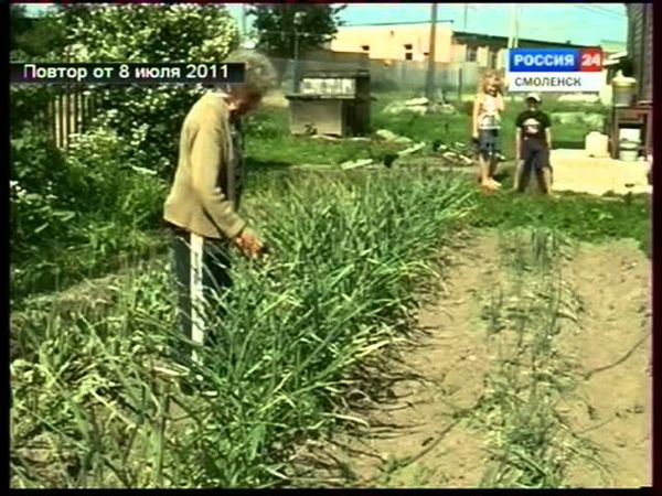 Вести в пятницу, 8 июля