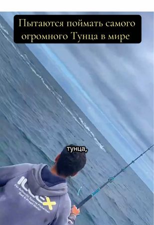 Хотят поймать самого огромного тунца океана