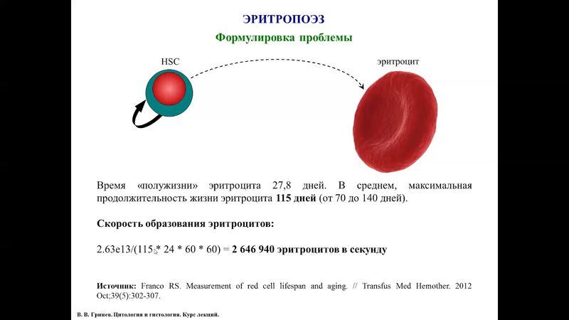Эритропоэз