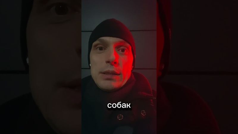 Заготовка следующего президента