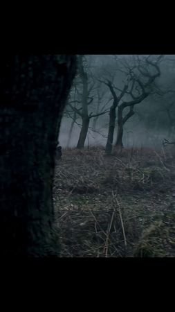 Best movies found on Internet #fyp #pov #dallatteampart63