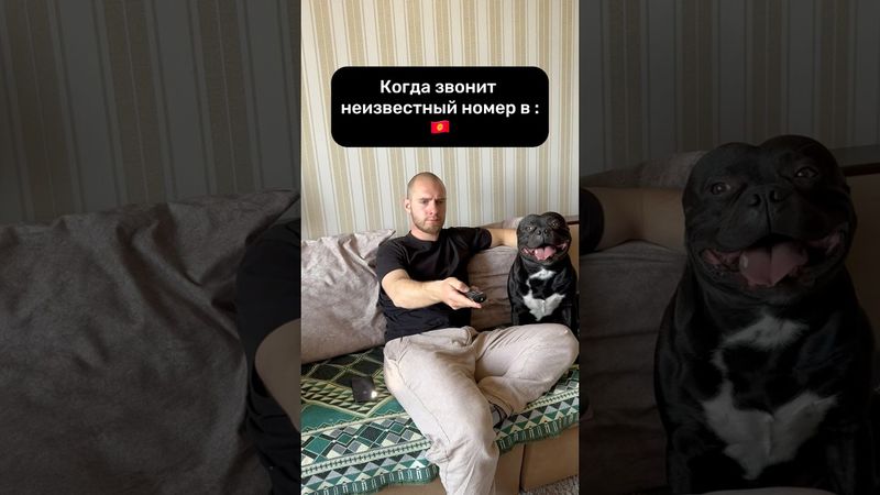 Когда звонит неизвестный номер 🇷🇺🇰🇬 #кыргызстан #россия #бишкек