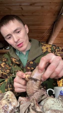 Instagram: russkin.serega ✅ YouTube: Серёга Русскин ✅ #ЖизньВлесу