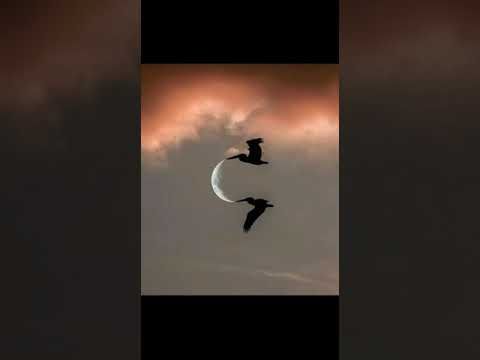 Очевидное невероятное