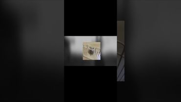 Усі існують разом, хоча кожен перебуває на самоті