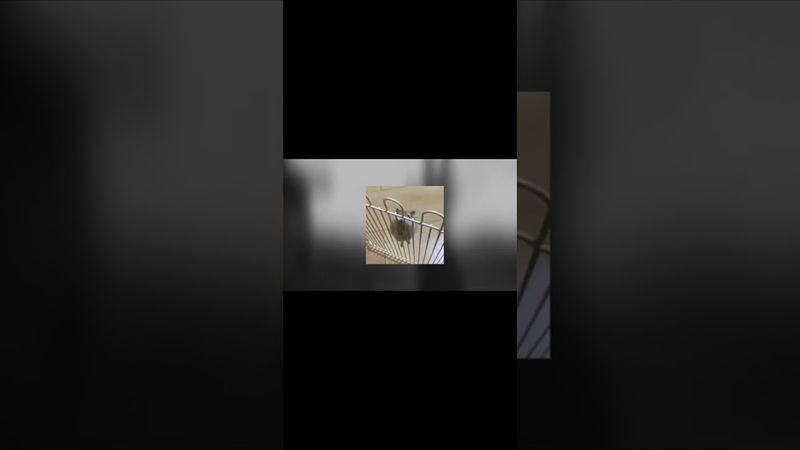 Усі існують разом, хоча кожен перебуває на самоті