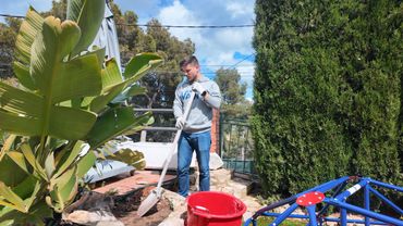 VLOG: ПЕРЕСАЖИВАЕМ ПАЛЬМУ! 16.04.25