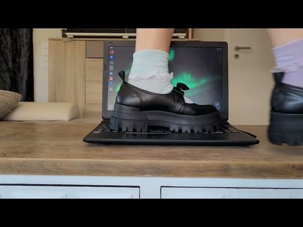 Laptop trampling with Buffalo Ballerinas