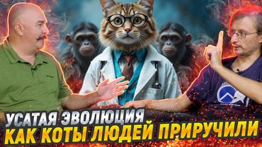 Жуков и Дробышевский про эволюцию котов и людей