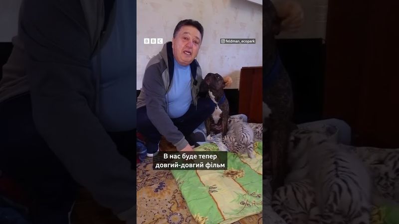 У Харкові собака усиновила тигренят. #shorts #харків #тварини #собаки