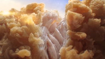 (2015) KFC - Сырные недели от 49 руб.