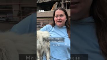 Ця собачка із романтичною кличкою Мрія врятувала господарів під час нічної атаки на Київ #shorts