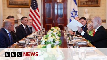 Israel-Gaza ceasefire talks 'going well', says US President Donald Trump | BBC News