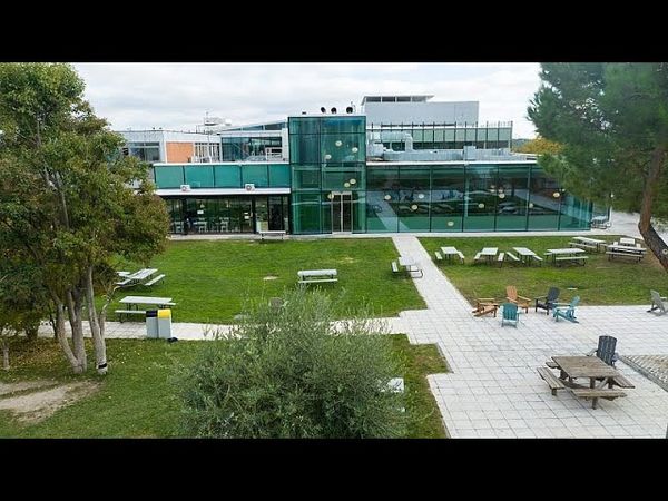 Former aide to Ukraine's pro-Russian ex-President Yanukovych shot dead outside school in Madrid