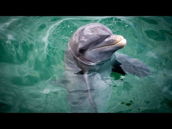 More: Rijeka, 6. srpnja 2025.