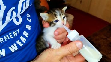 #Славянск. 3 августа 2025г. Вечер.