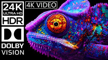 4K Video Exploring Earth's animal | 24K HDR 120fps Dolby Vision (8K / 4K TV)