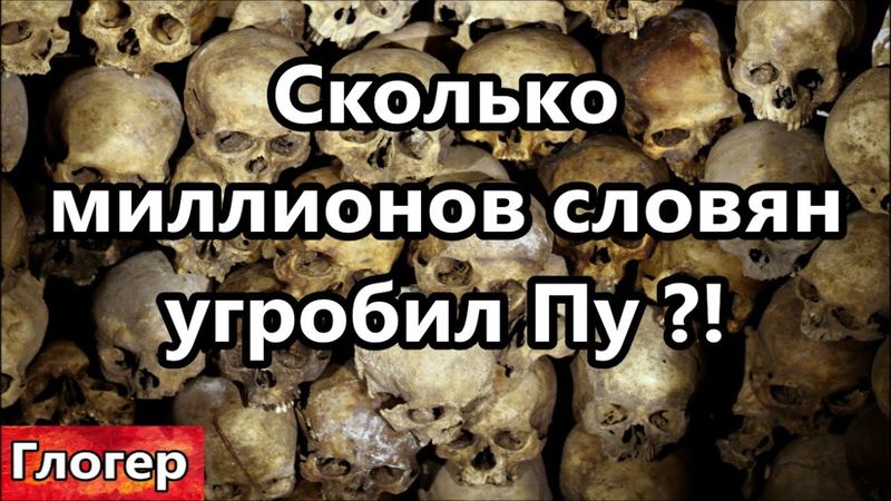 Сколько миллионов словян угробил Путин ! У нас война с мигрантами ! Даниил Сачков и его советы !