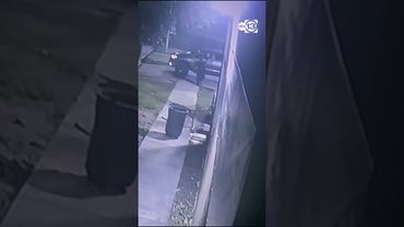 Man pressure washing outside of restaurant shot by driver, video shows