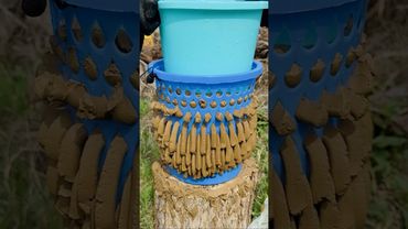 Mesmerizing Squish #asmr #asmrsounds #satisfying #satisfyingvideo #oddlysatisfying