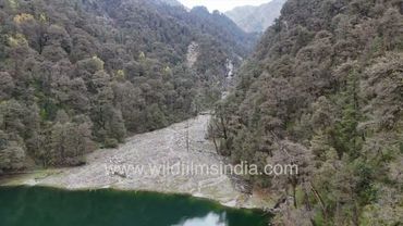 Dodital lake to Darwa Top route aerial view up the valley, through thick Musk Deer Rhododendrons