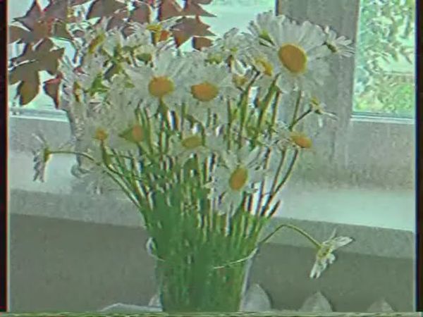 Перехват сигнала Россия 1 2011 Алтай