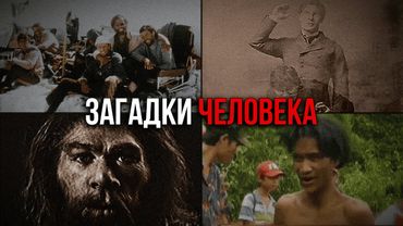 ТРЕВОЖНЫЕ ФАКТЫ О ЧЕЛОВЕКЕ