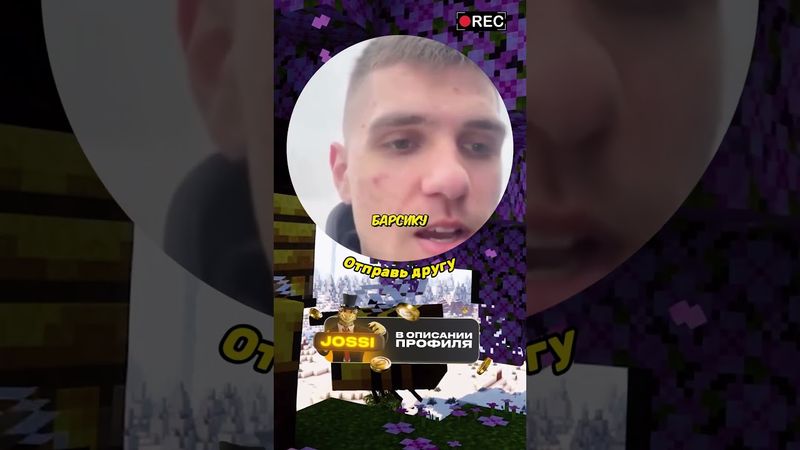 #рекомендации #юмор #кружки