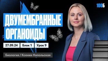 Двумембранные органоиды | Биофак 2025 | Урок 9