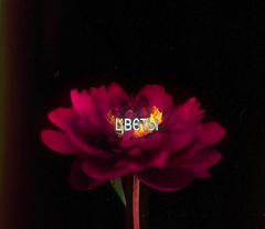 я как-то догадалась до этого хе-хе >:) наверное уже поздно но всё же ...