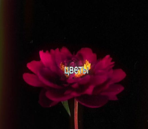 я как-то догадалась до этого хе-хе >:) наверное уже поздно но всё же ...