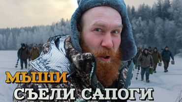 ВОЛКИ СЪЕЛИ ЛОШАДЬ! ПЕРВЫЙ ЛЁД!