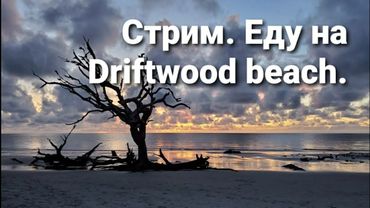 Стрим. Driftwood beach. US Army.