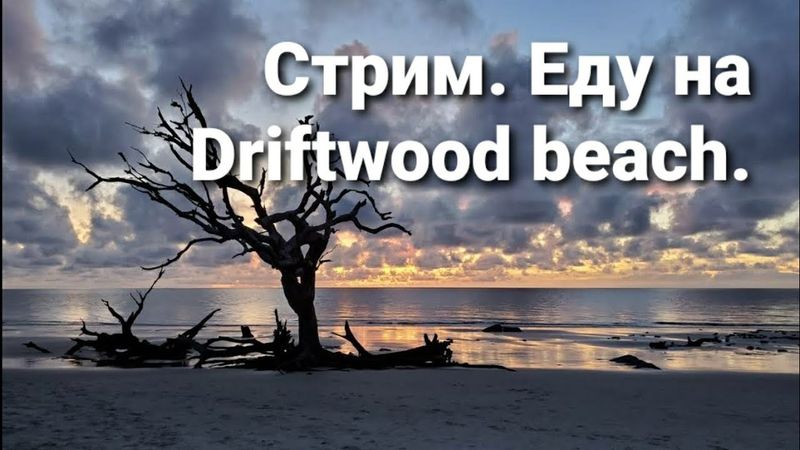 Стрим. Driftwood beach. US Army.