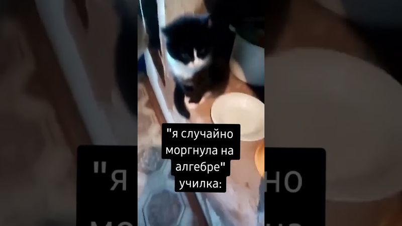 а ты сидишь бл@ть красотка, еб@лом щелкаешь мы ходят #угурстт