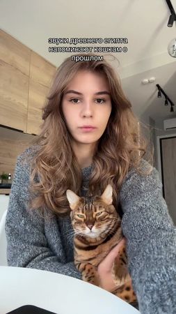 Моей они напоминают мне лапой дать по лицу 