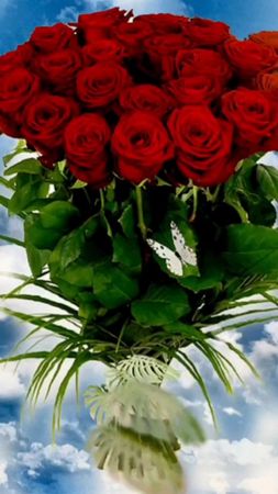 #деньматери  #поздравление  #доброеутро 